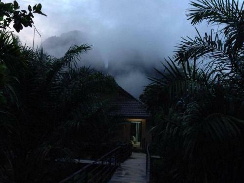 Hotel Khaosok Good View Resort