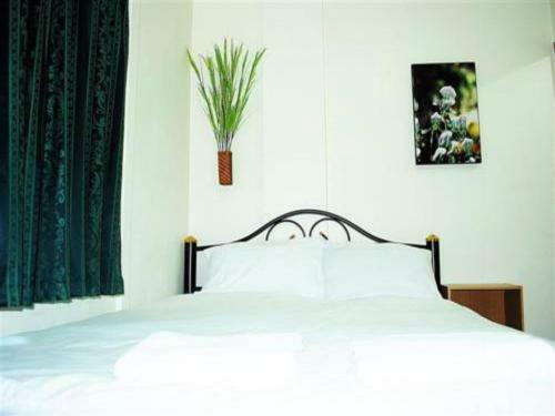 Hostal Rainforest Guest House