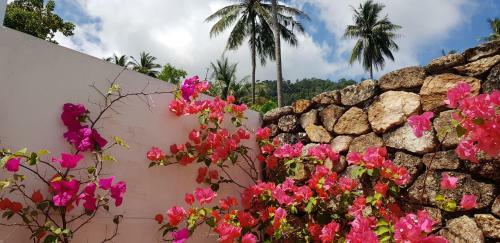 Paradise Island Villa