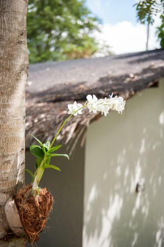 Baan Talay Pool Villa