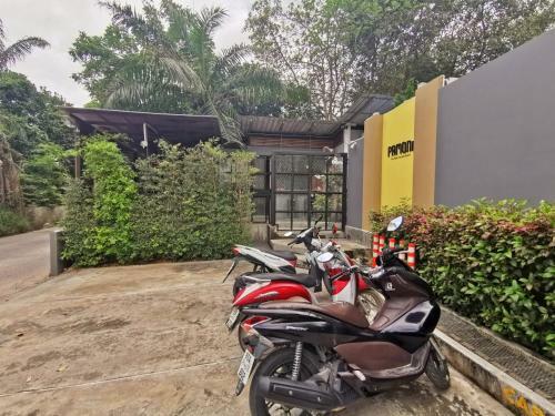 Apartamento Pamoni