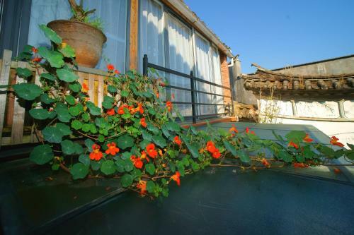 Hostal Xiangyuyangguang Garden Guest House