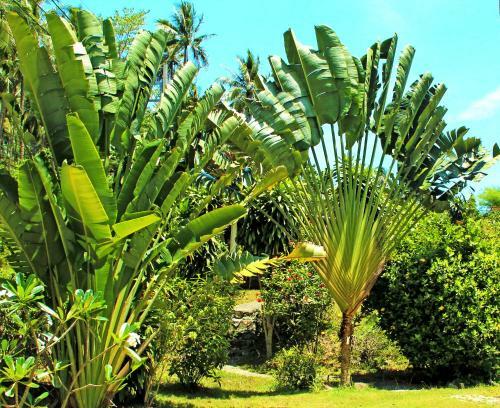La Costa Samui B&B