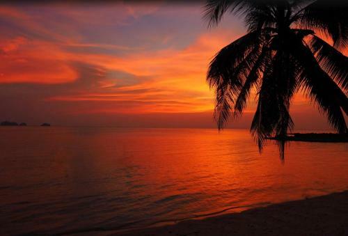 Sibaja Palms Sunset Beach Luxury Villa
