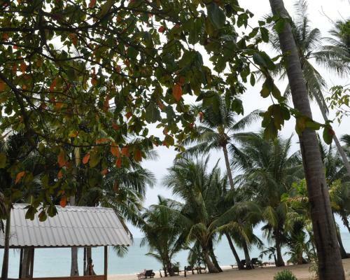 Hotel Coconut Beach Resort