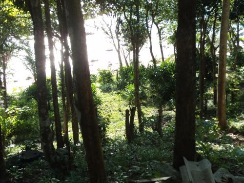 Lodge Last Fisher Koh Jum