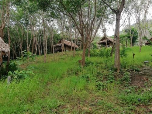 Lodge Last Fisher Koh Jum