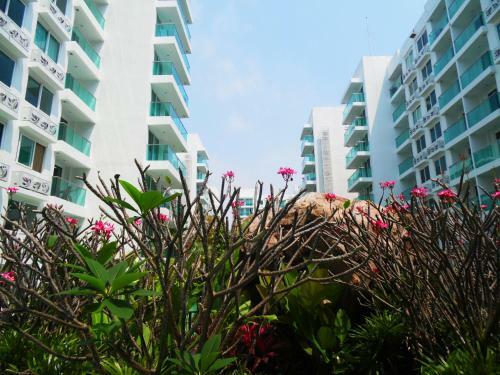 Apartamento Amazon Residence