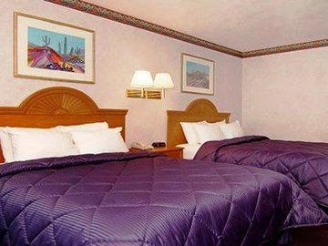 Hotel Comfort Inn  And  Suites