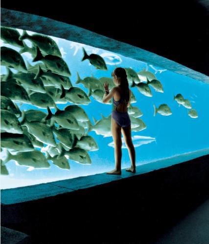 Hotel Beach Tower Atlantis Autograph Collection