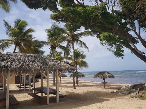 Apartamento Petit Paradis