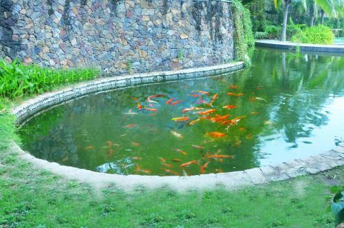 Hotel Sheraton Sanya Haitang Bay Resort