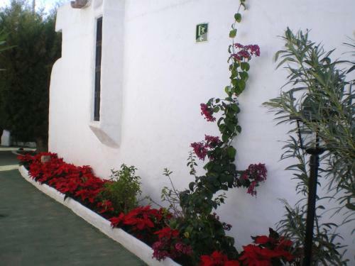 Bungalows Tenesoya Adults Only