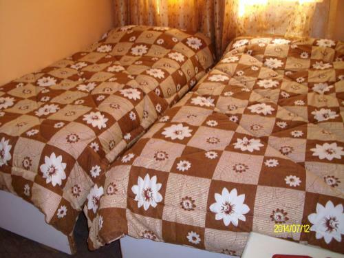Mussa Spring Hotel