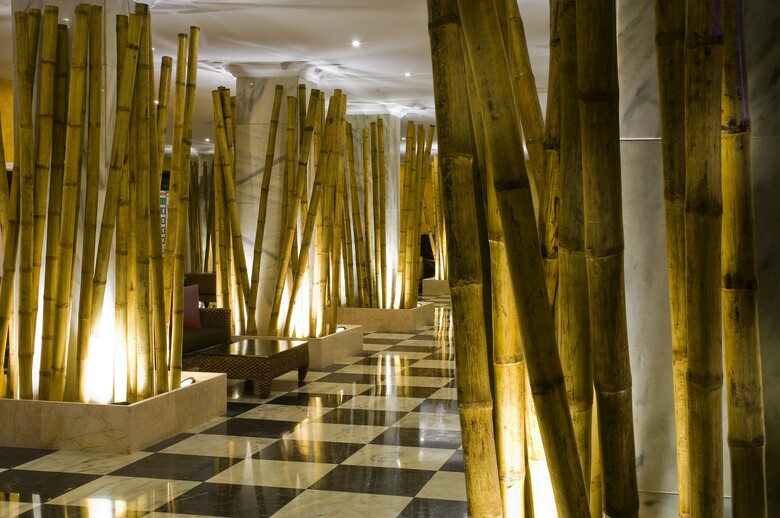 Apartamentos Las Piramides