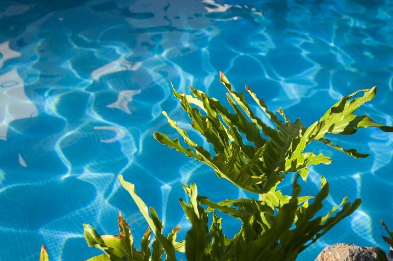 Apartamentos Las Piramides