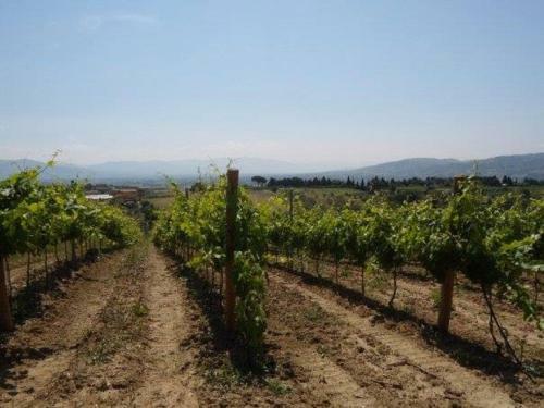 Agroturismo Il Cerchio Delle Fate