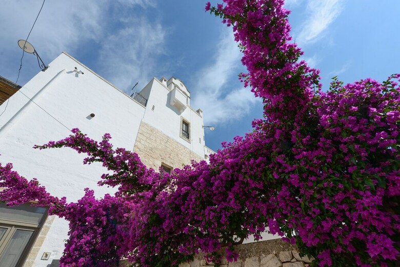 Agroturismo Masseria Lamiola Piccola