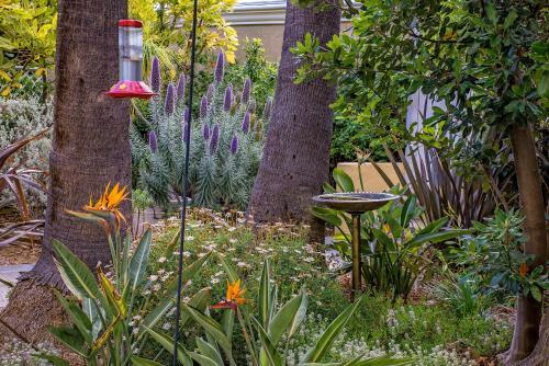 The Avalon Hotel In Catalina Island