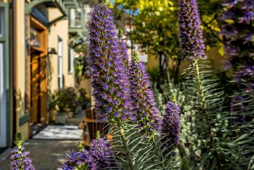 The Avalon Hotel In Catalina Island