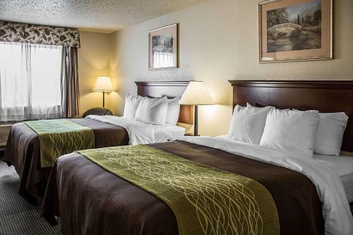 Hotel Quality Inn & Suites Delaware