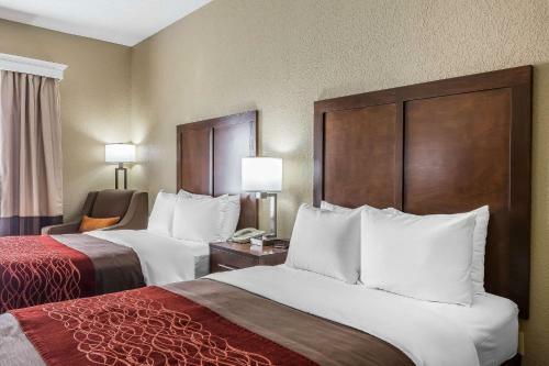 Hotel Comfort Inn South Kingsport