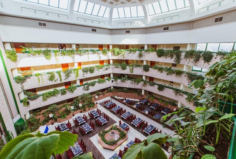 Hotel Holiday Inn Vinogradovo