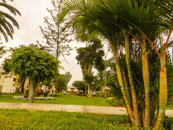 Trujillo - El Golf Apartments