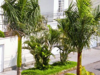 Trujillo - El Golf Apartments
