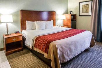 Hotel Comfort Inn Schererville