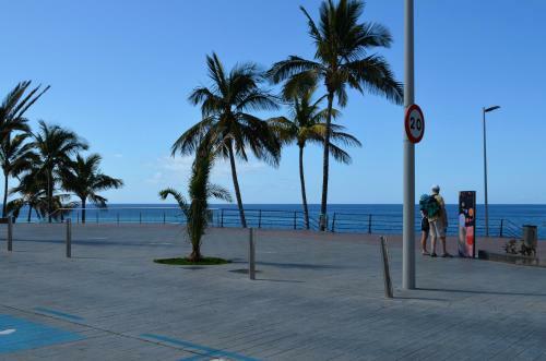 Apartamento Delfin Playa