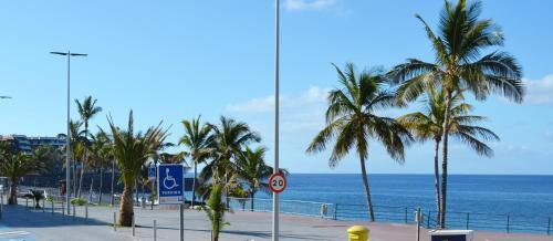 Apartamento Delfin Playa