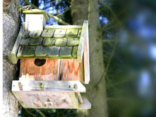 Waldhotel Am N�rburgring