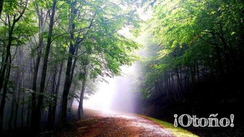 Agroturismo La Casona Del Pastor