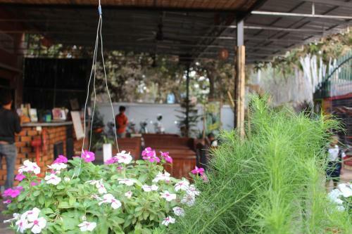 Albergue Eco-home