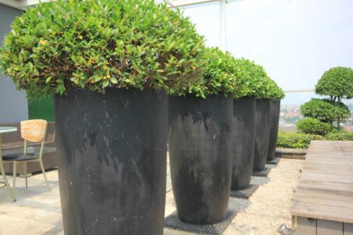 Apartamentos Harvia Suites Kebon Jeruk