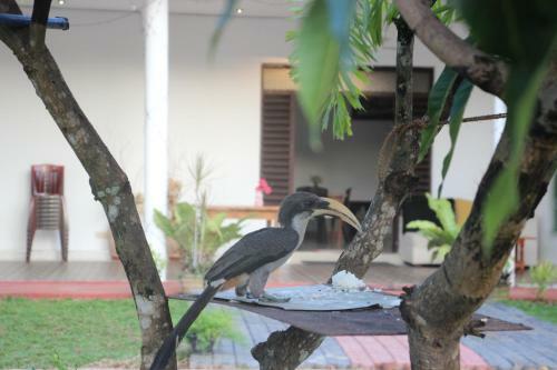 Miheen Hotel & Resort