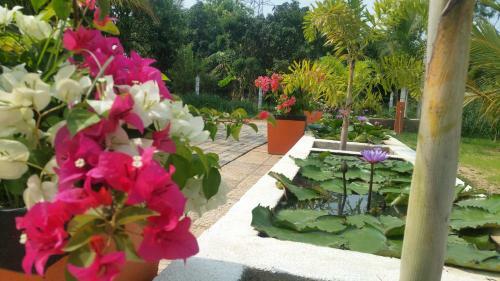 Miheen Hotel & Resort