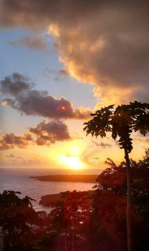 Posada Caribbean Dawn