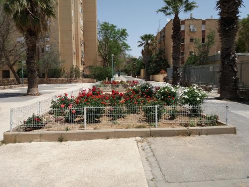 Apartamento Shimon Street Flat