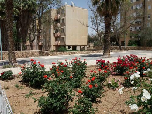 Apartamento Shimon Street Flat