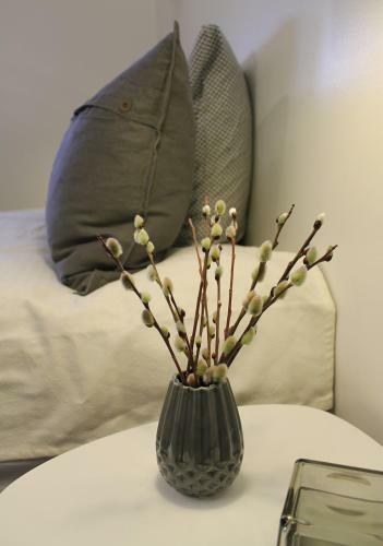 Jansvej Homestay