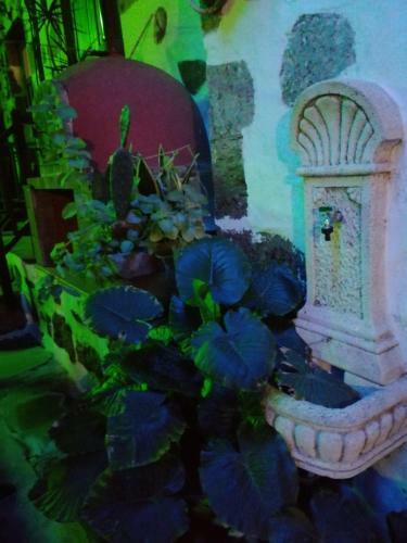 Hostal Casa Rural La Piedra Viva-grupos
