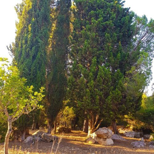 Agroturismo Fangar Vell