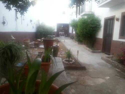Hostal Pension Cervantes