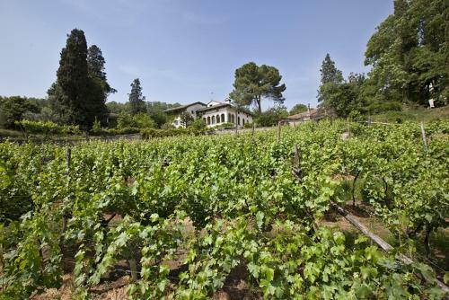 Agroturismo Fattoria Le Vegre