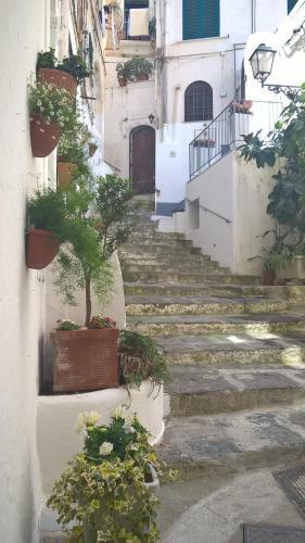 Vicolo 23 House