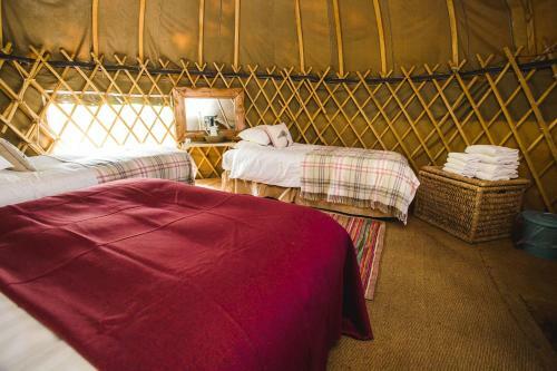 Rock Farm Slane - Glamping