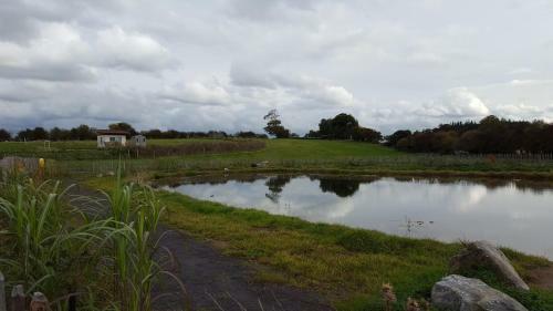 Rock Farm Slane - Glamping