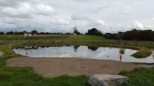 Rock Farm Slane - Glamping